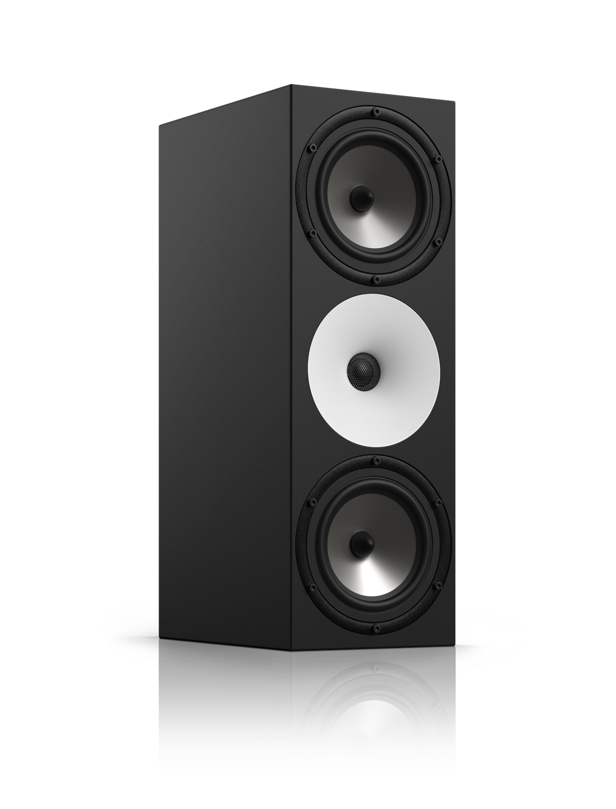 Amphion Two18 Pair