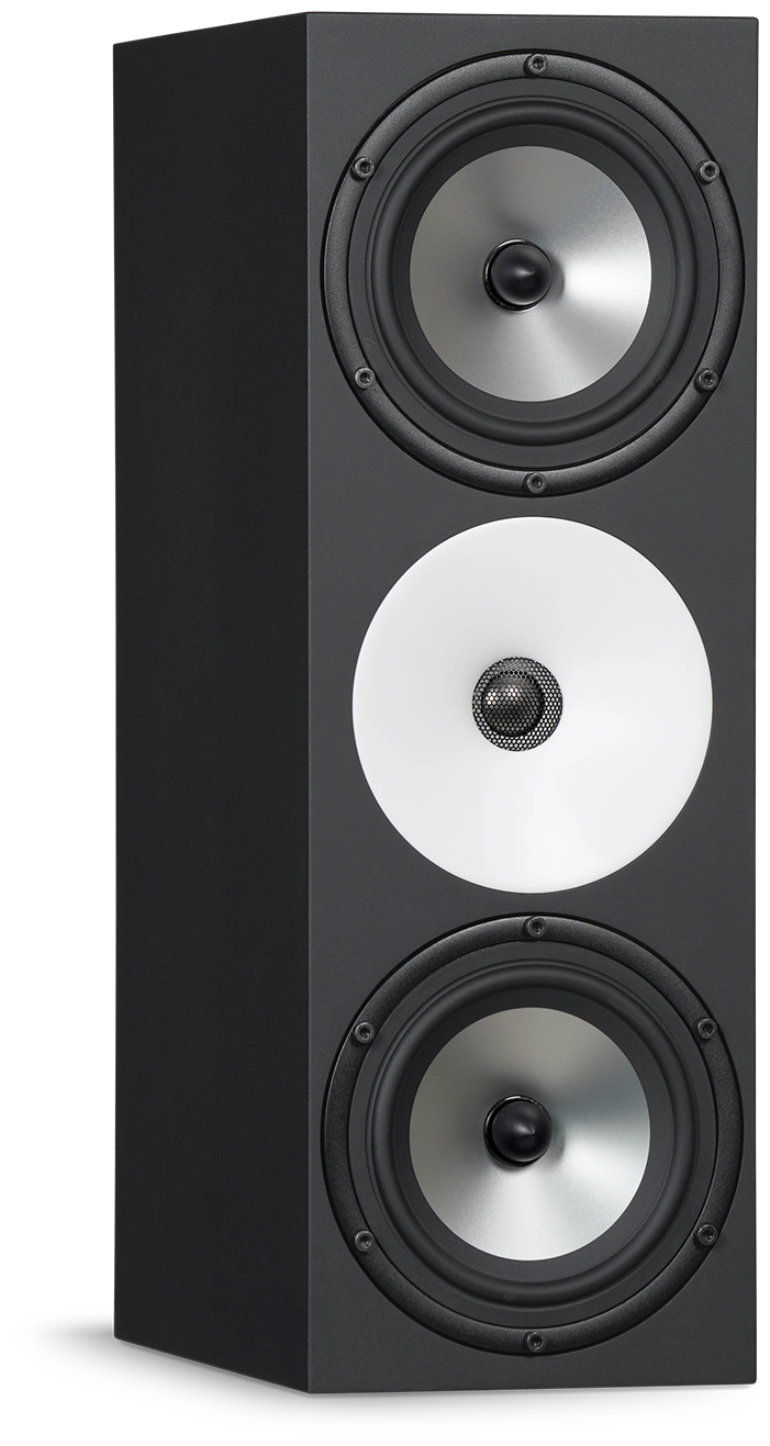 Amphion Two18X